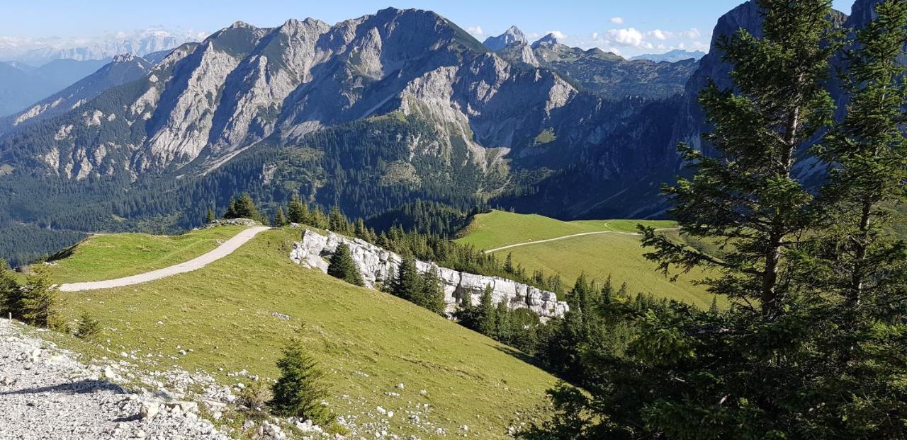 Ferienwohnungen Wolf - Pfronten Mitte, Extérieur photo